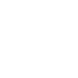 UEFA Champion League