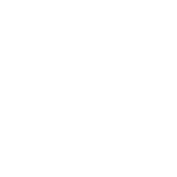 UEFA Europa League